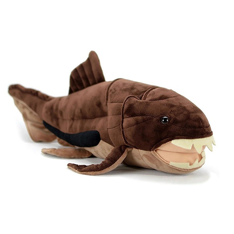 Dunkleosteus terrelli Dunkle F – обзор и цена Aquarium Marine Park