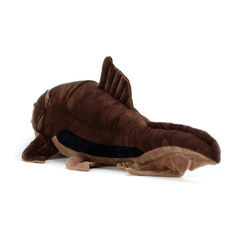 Dunkleosteus terrelli Dunkle F – обзор и цена Aquarium Marine Park