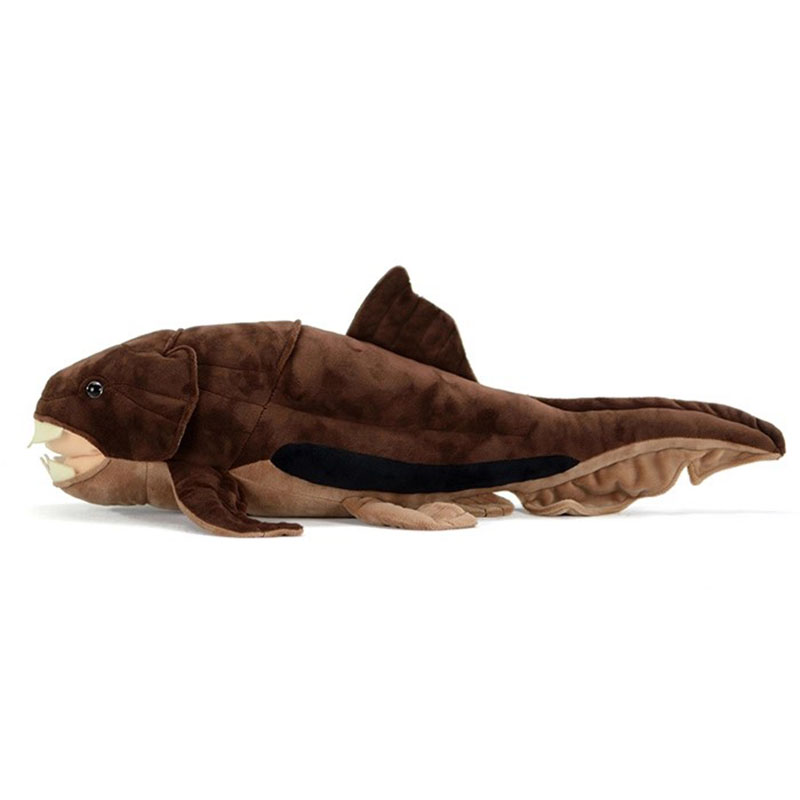 Dunkleosteus terrelli Dunkle F – обзор и цена Aquarium Marine Park